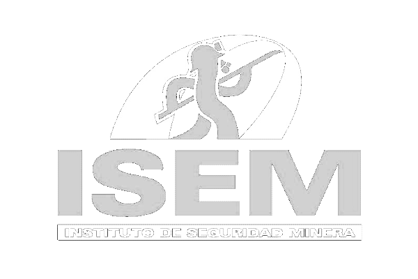 WD_ISEM_logo